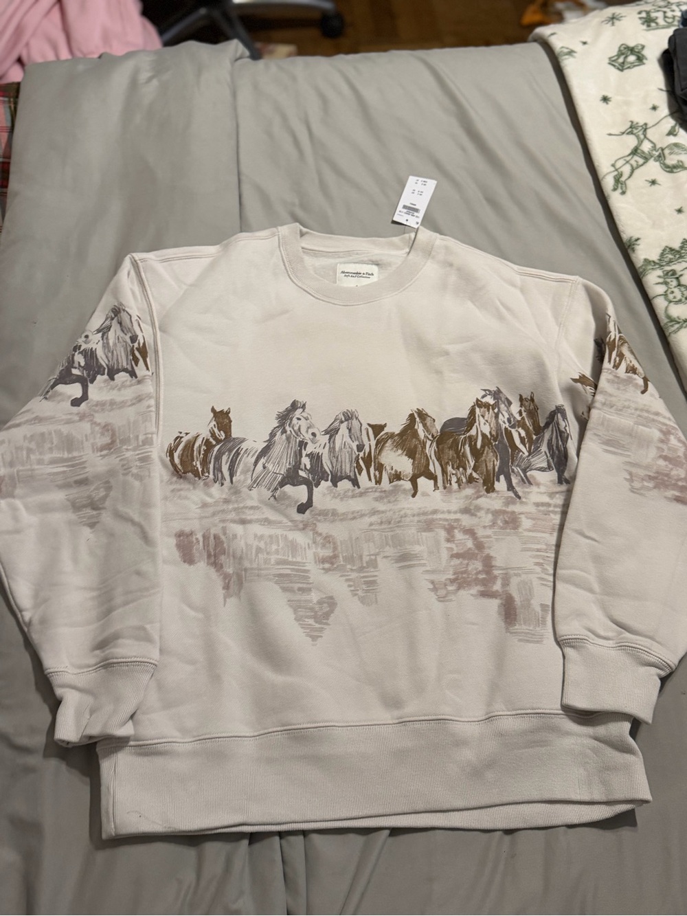 Western equestrian graphic oversized crewneck sweatshirt